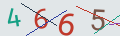 verifycode